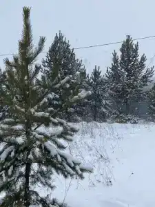 Покровский - 13