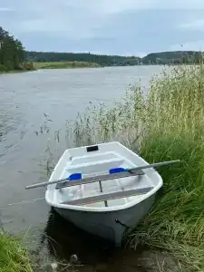 Оявойс - 20