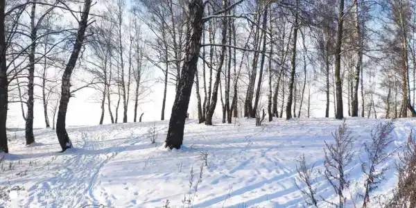 Домик на Море - 15