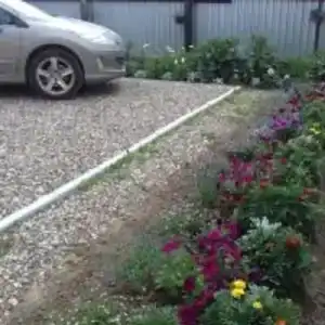 У Дачный Выбор - 50