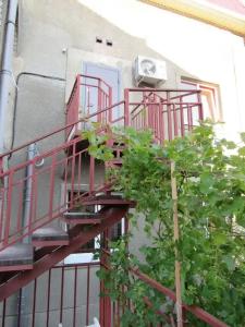 Гостевой дом на Октябрьской 108 - 48