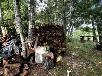 Уютный загородный коттедж в Андросово - 16