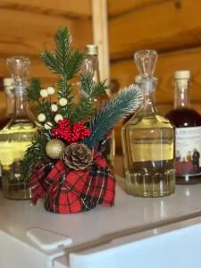 Dмитриевский - 70