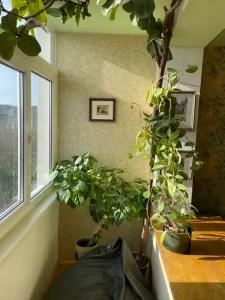 Квартиры на Старопрегольской набережной 16 - 485