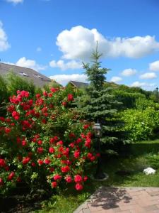 Уютный домик с баней на Можайском Море - 18