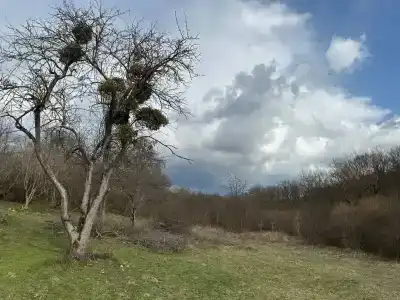 Серёжкино - 92