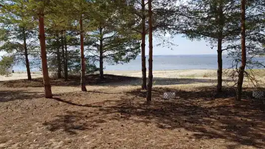 Дача на берегу Волги - 22