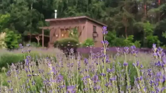 Дом у реки Волма