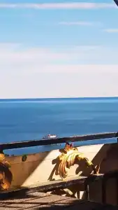 Гостевой дом на Шулейкина 18 - 288