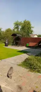 От Зари до Зари - 10
