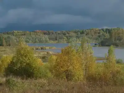 Дом у Озера Мстижа - 20