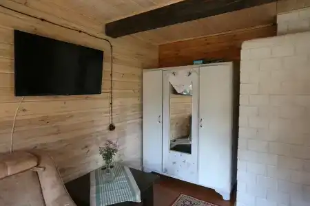 Пралеска - 4