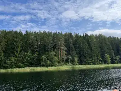 Гостевой домик на хуторе Керино - 74