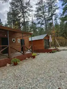 Лес хрустальной песни - 13