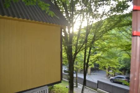 Аммонит - СевКавТисиз - 29