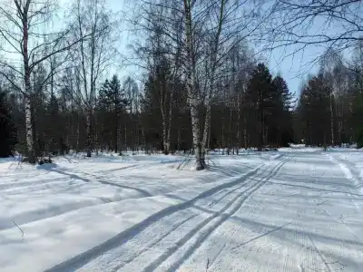 Дом Берендей - 35