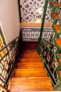 Птица - 8