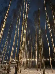 Каникулы - 37