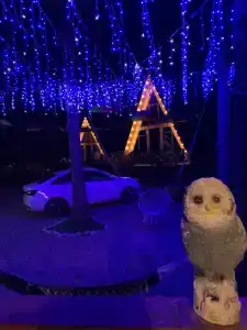 Терраса Домики в Архызе - 101