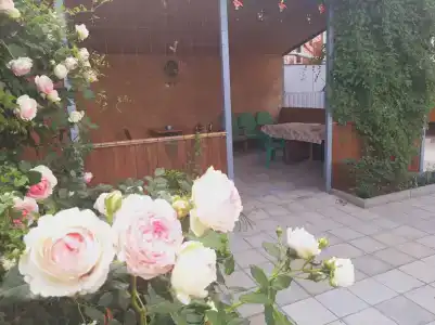 Отдых у моря - 44