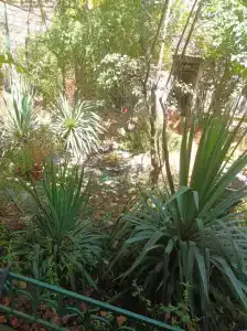 Частный дом рядом с морем - 3