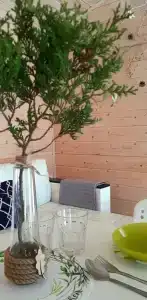 Коттедж в лесу - 12