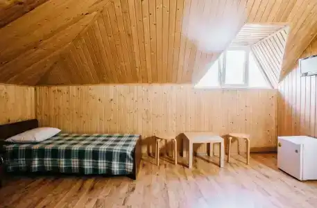 Виолетта - 40