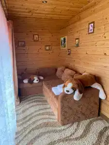 Гостевой домик с русской баней - 0