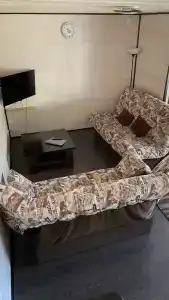 Сосны - 42