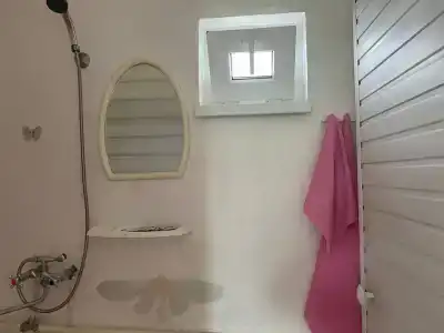 Лето всем - 55