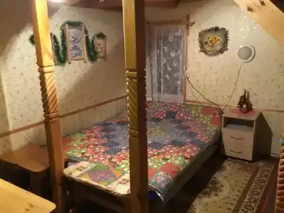 Гнездо аиста - 1