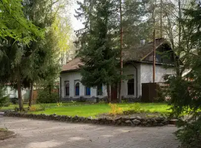 Аут - 65
