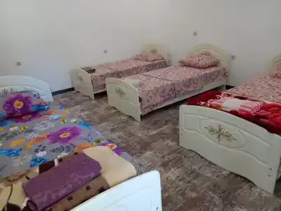 Дружба народов - 20