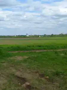 Полюшко - 14