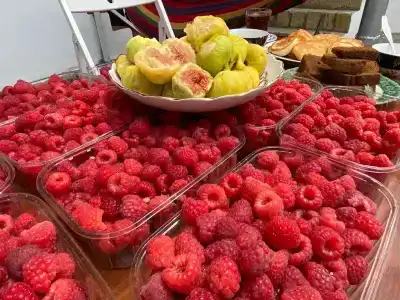 Гостеприимный - 16