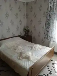 Фиеста Гор - 22