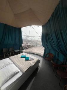 Аквариум - 145