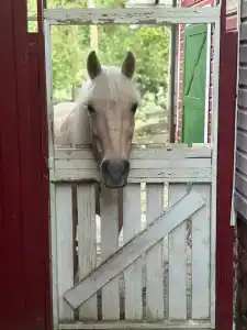 Уютный зимний дом в сказочно живописном месте - 12