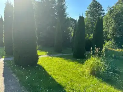 Агроусадьба на уединенном хуторе - 32