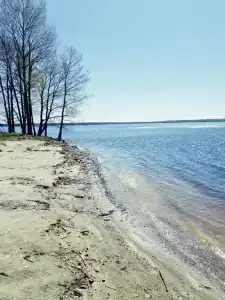 Прозрачный берег - 77