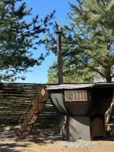 Хвоя - 18