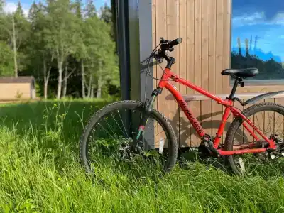 Хвойный Лес - 152