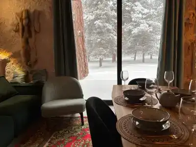 Гнездо с камином - 49