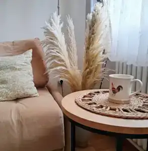 Обломов дача с русской баней, беседкой и детской площадкой - 4