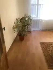 Лина - 4
