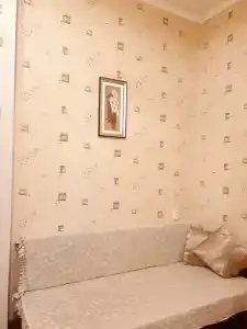 Кипарис - 26