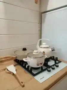 Сосны - 17