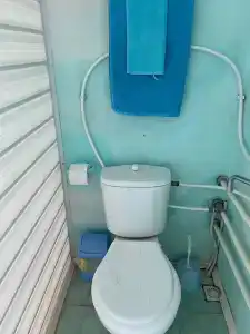 Лето всем - 61