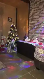 Царское село - 31