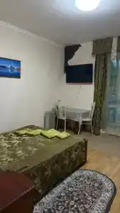 Золотой мустанг - 15